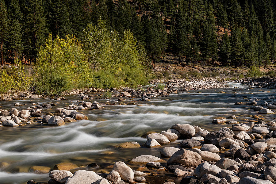 West Walker River Photograph By Kelley King - Fine Art America