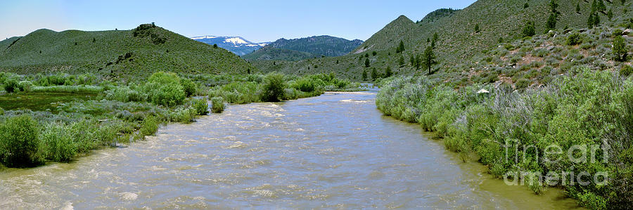 West Walker River Panorama Photograph by Joe Lach