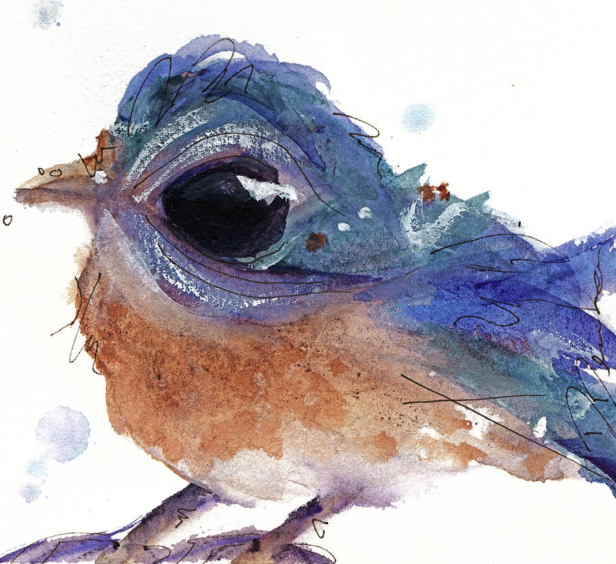 Western Bluebird Painting by Dawn Derman