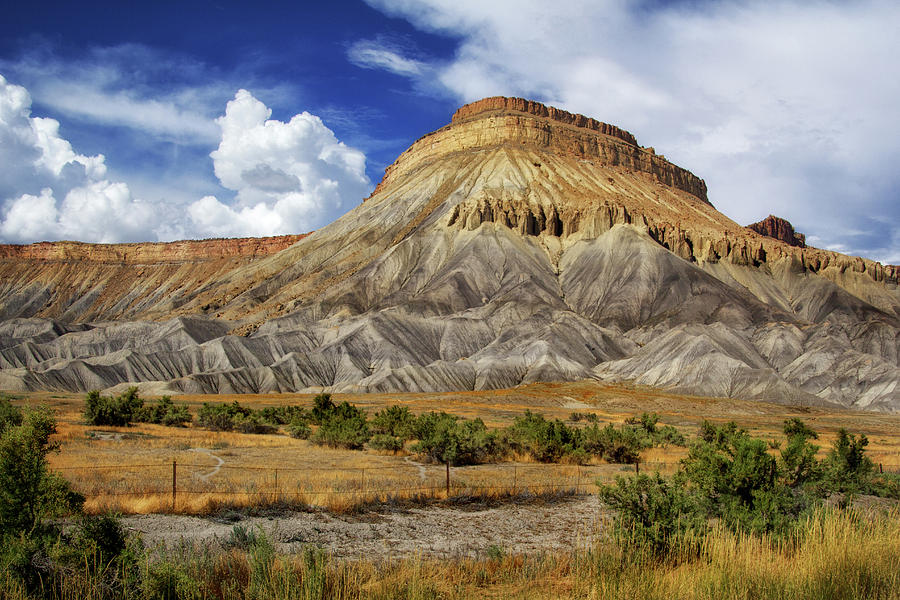 Western Colorado Landscape Photograph by Carolyn Derstine
