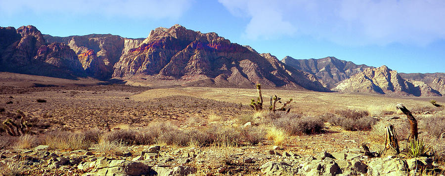 Western Desolation Photograph by Frank Wilson