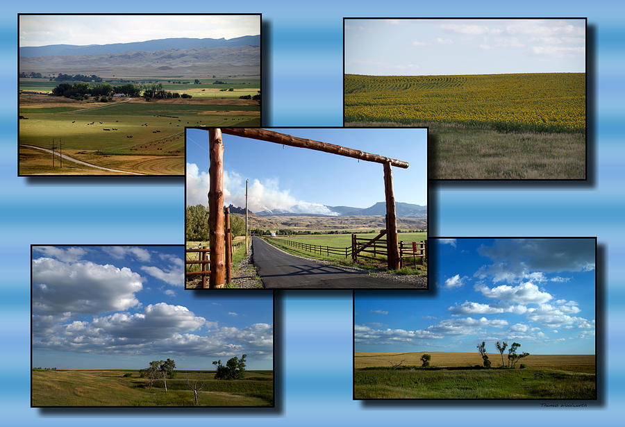 Western Farms And Ranches Fields Collage 01 Photograph by Thomas Woolworth