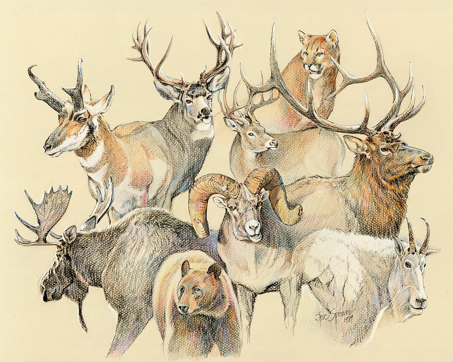 Wildlife Painting - Western heritage by Steve Spencer