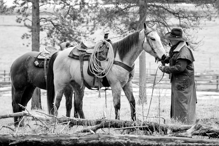 Western Horseman Photograph by Jack Bell