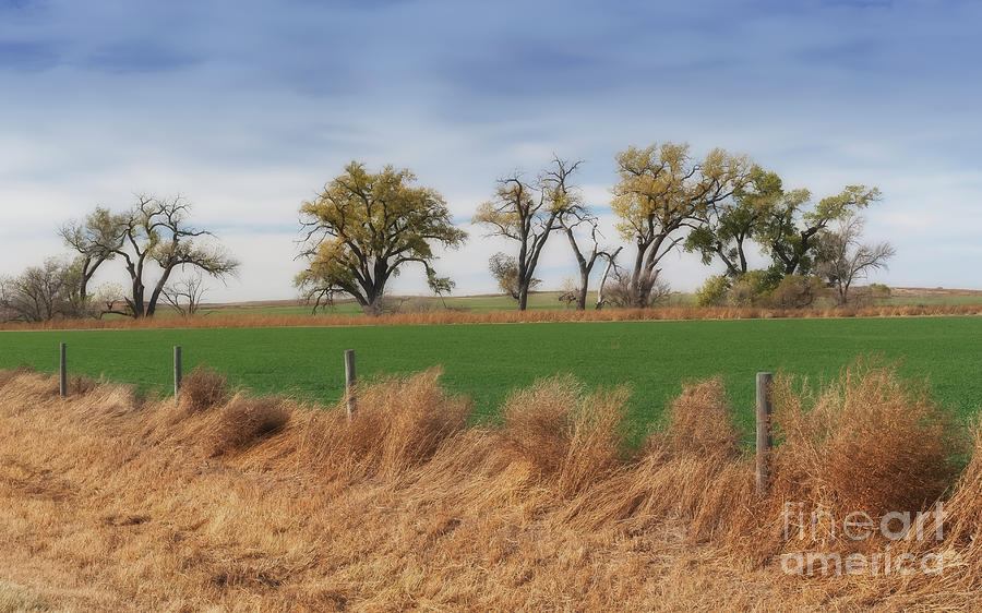 Western Kansas Vista Photograph by Fred Lassmann