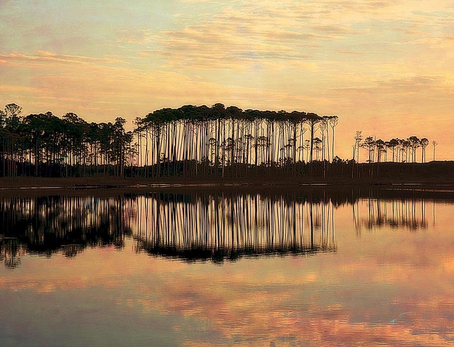 Western Lake Sunset Photograph by Toni Abdnour
