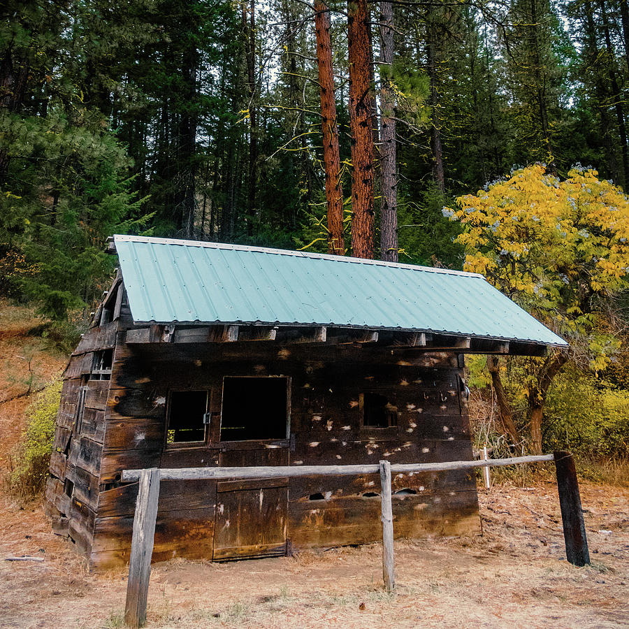 Western Line Shack Photograph by Ron Day