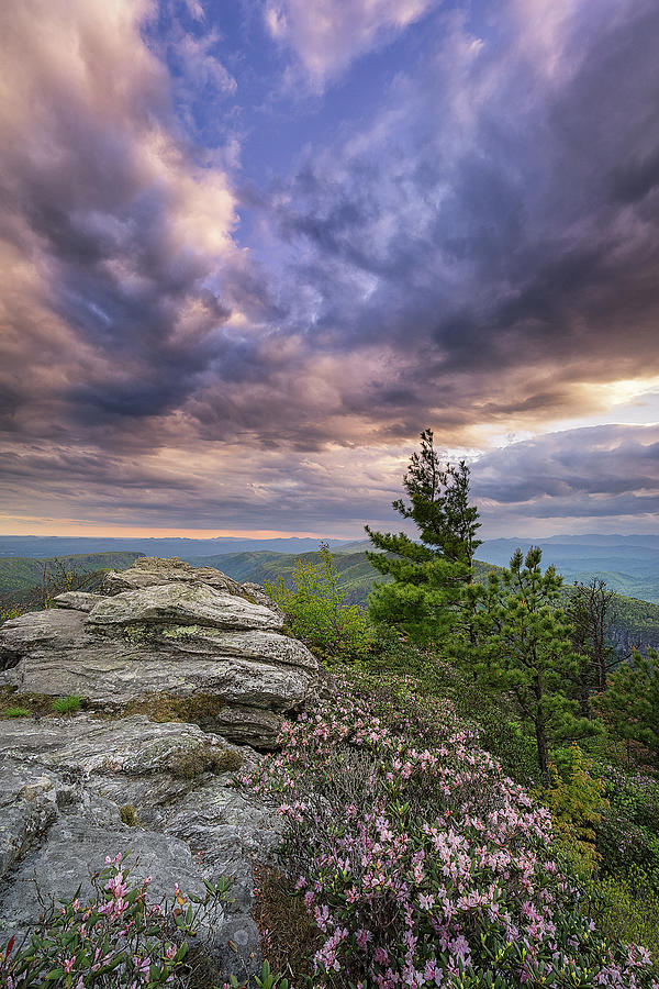 Western North Carolina Photograph - Western North Carolina - Purple Rain by Jason Penland Western North Carolina Photograph - Western North Carolina - Purple Rain by Jason Penland