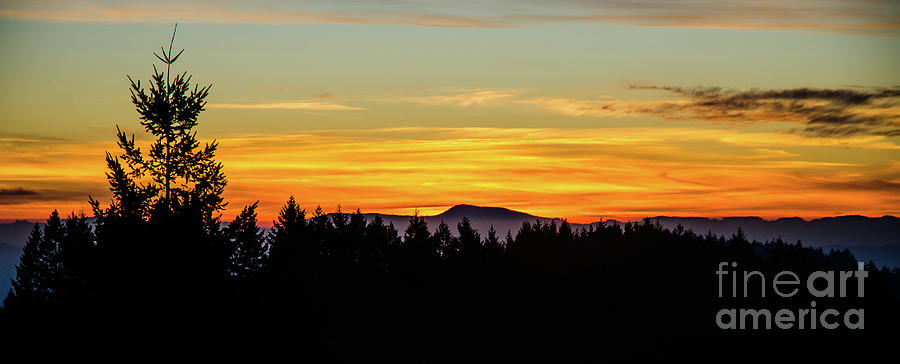 Western Oregon Winter Sunset Photograph by Nick Boren