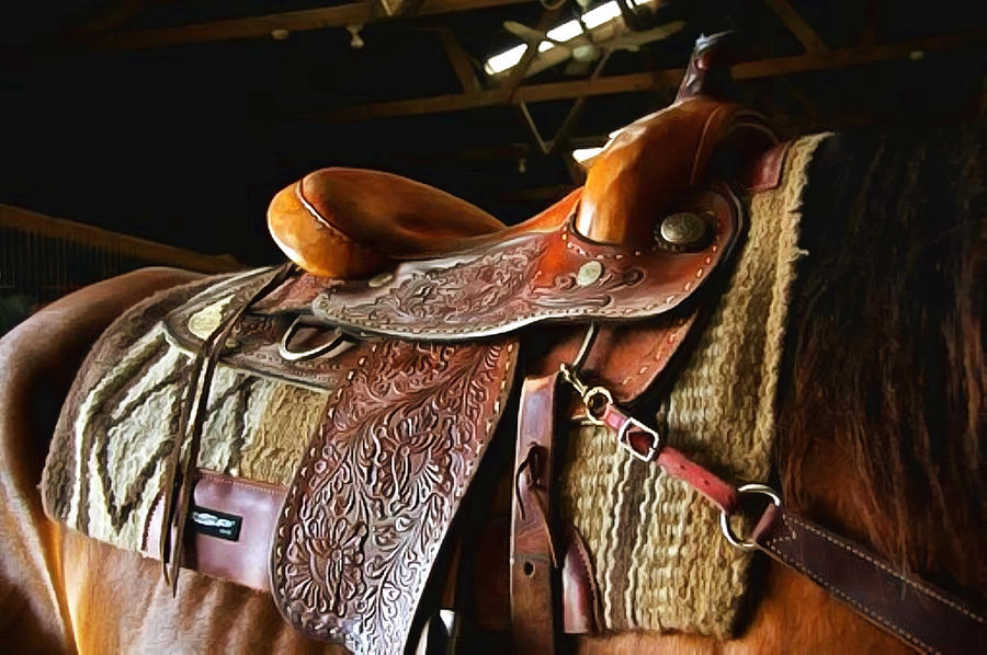 Western Saddle Brown Horse Photograph by Studio Artist