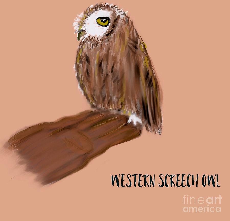 Western Screech Owl Illustration  Drawing by Susan Garren
