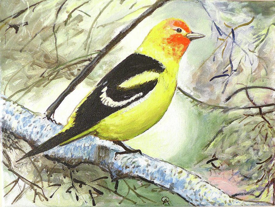 Western Tanager Painting by Alicia Otis - Fine Art America