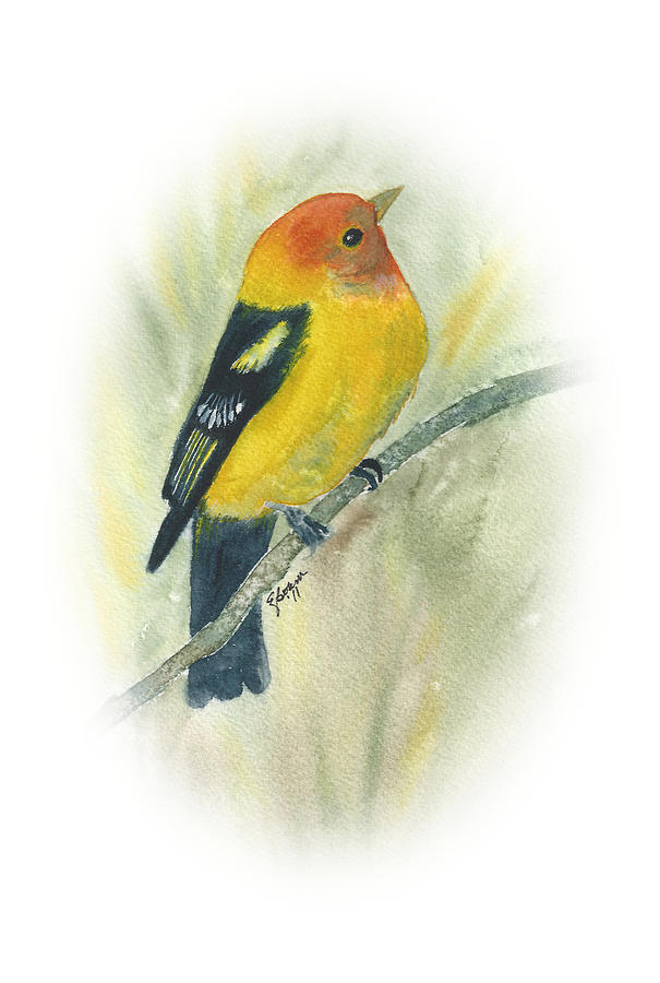 Western Tanager Painting by Elise Boam