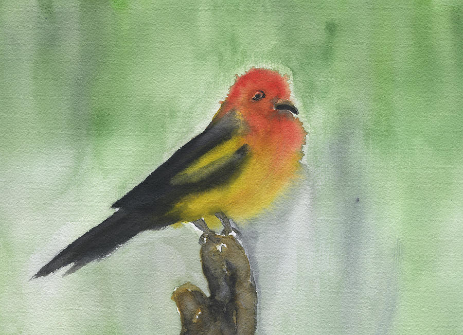 Western Tanager Painting by Frank Bright