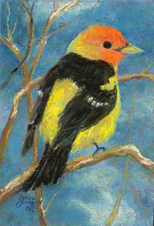 Western Tanager Painting by Grace Goodson - Fine Art America