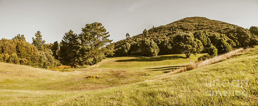 Western Tasmania Grassland Panorama Photograph