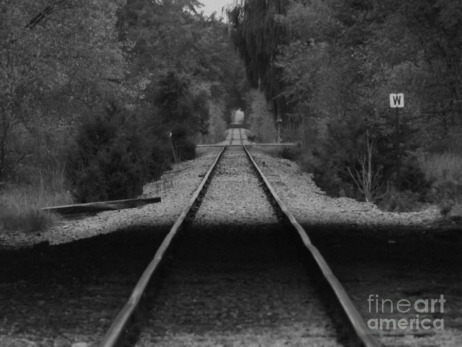 Western Tracks Photograph by Erick Schmidt