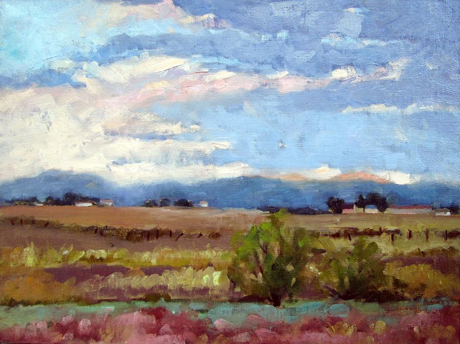 Western Utah No 2 Painting by Deborah Cushman - Fine Art America