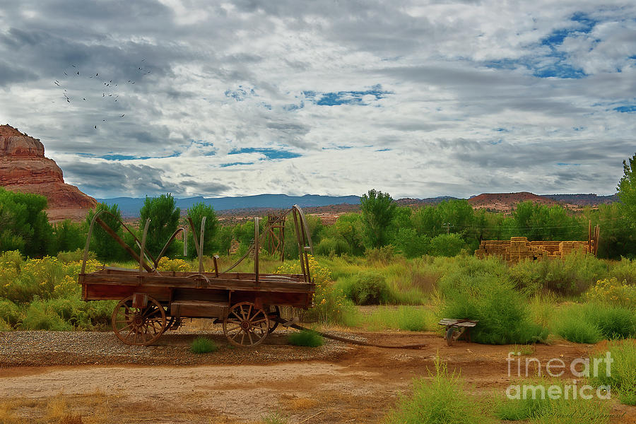 Wagon Photograph - Western Wagon by David Arment