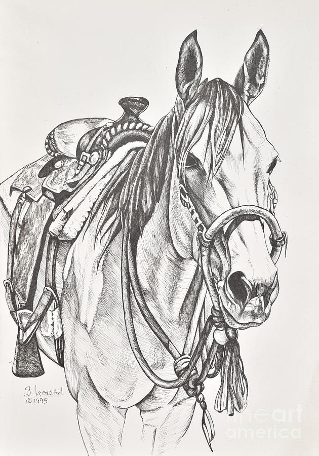 Horse Drawing - Western Wear by Suzanne Leonard