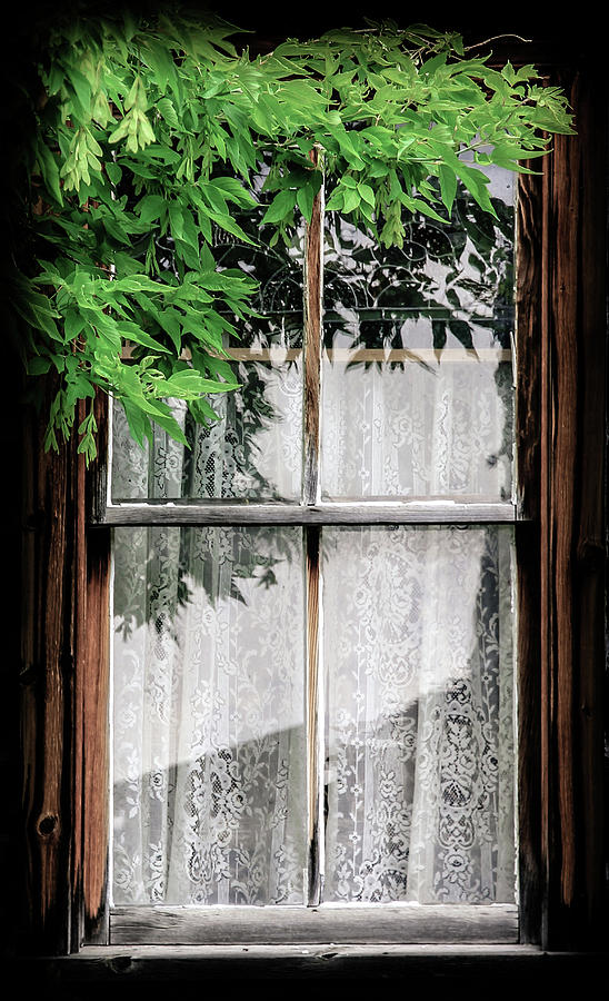 Western Window Treatment Photograph by Athena Mckinzie