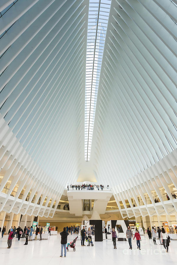 New York City Photograph - Westfield World Trade Center IX by Clarence Holmes