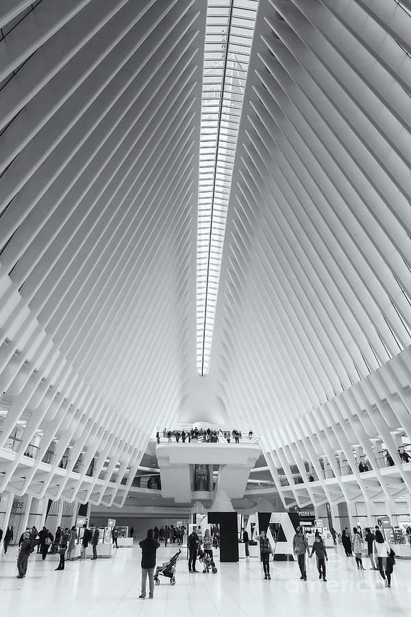 Westfield World Trade Center X Photograph by Clarence Holmes