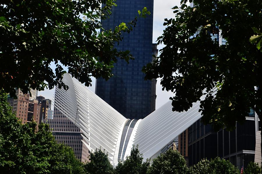 Westfields WTC Photograph by Eileen Brymer