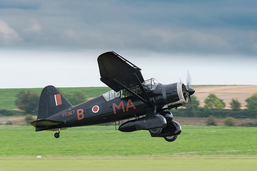 Westland Lysander taking off Photograph by Gary Eason