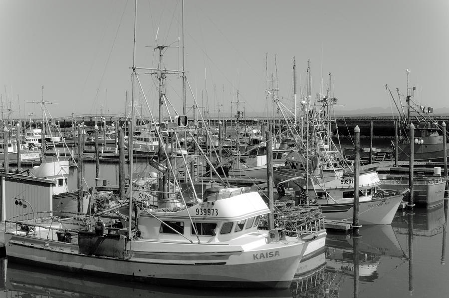 Fishing Boats Photograph - Westport Docks Black and White by Tikvahs Hope