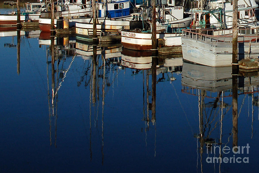 Westport Fishing Fleet II Photograph by Chuck Flewelling