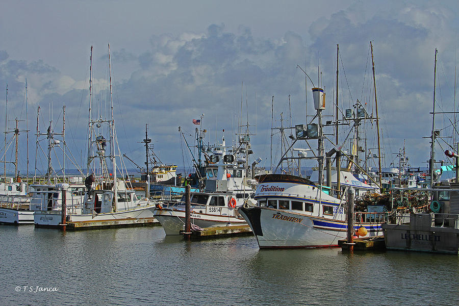 Westport Fishing Fleet Digital Art by Tom Janca