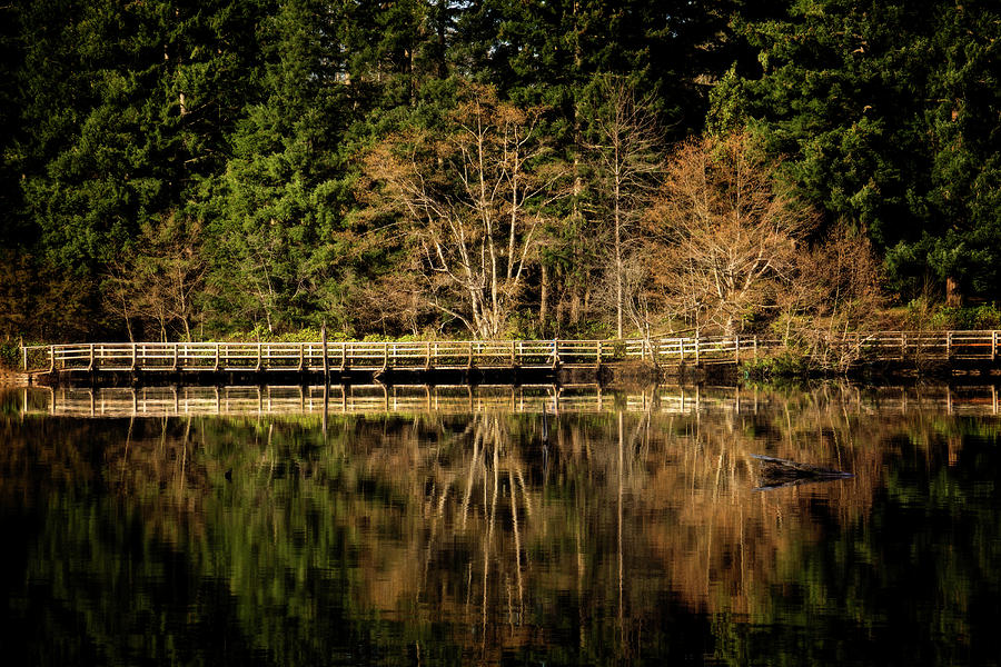 Westwood lake trail Photograph by Inge Riis McDonald