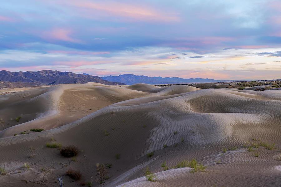 Wet Dunes Photograph by Chad Dutson