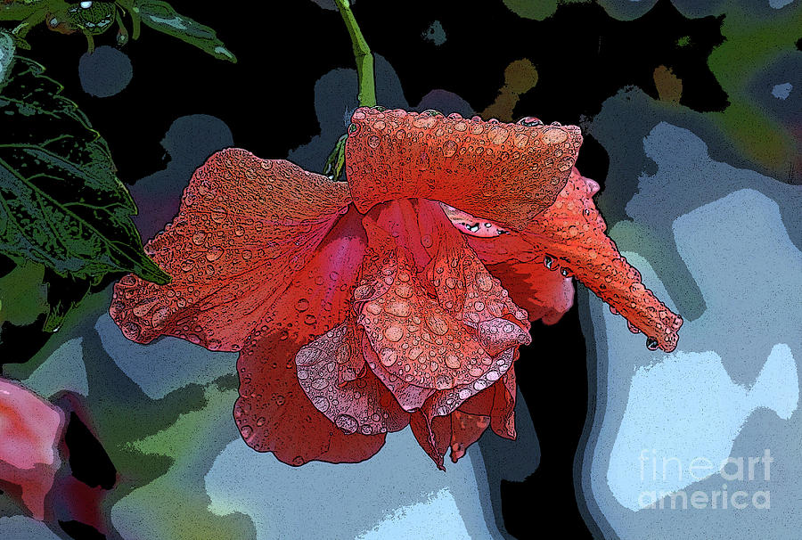 Wet Hibiscus II Photograph by Craig Wood
