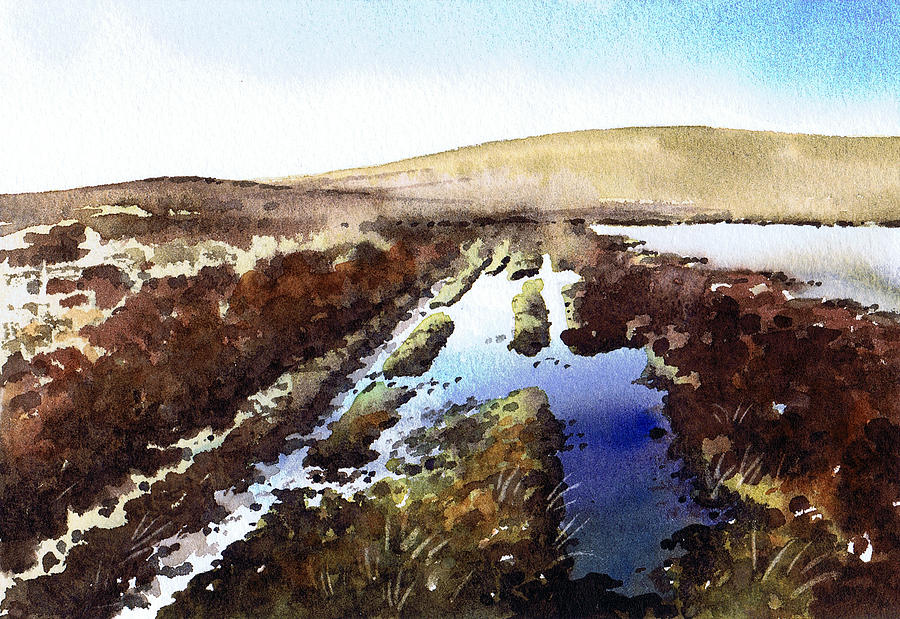 Wet lane Cupwith Reservoir Painting by Paul Dene Marlor