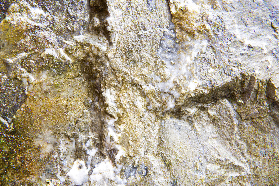 Wet Limestone Texture Photograph by Karen Foley