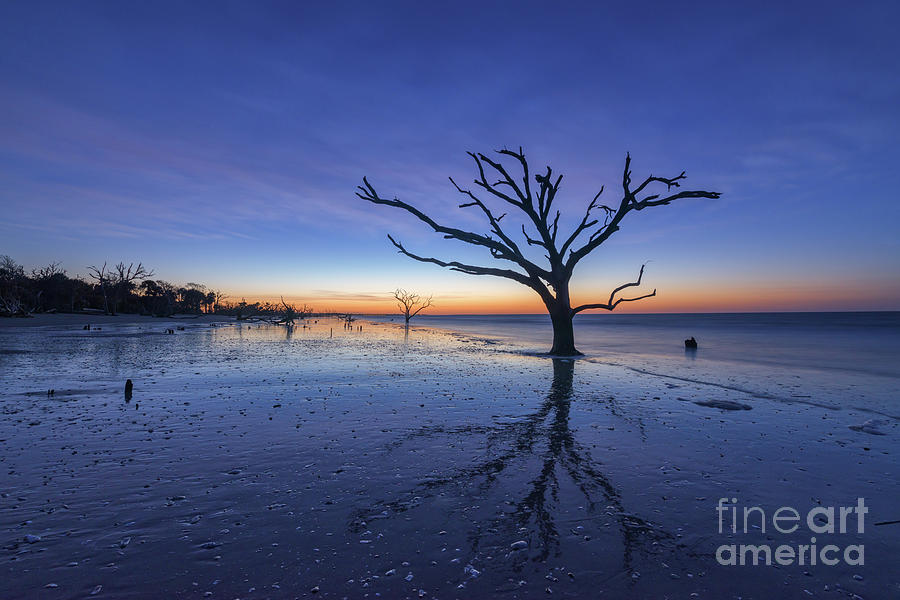 Wet Reflections at Botany Bay Beach Photograph by Michael Ver Sprill