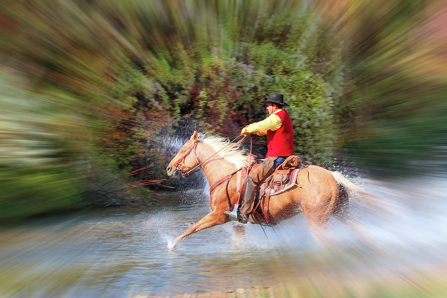 Wet Ride Photograph by David Nay - Fine Art America