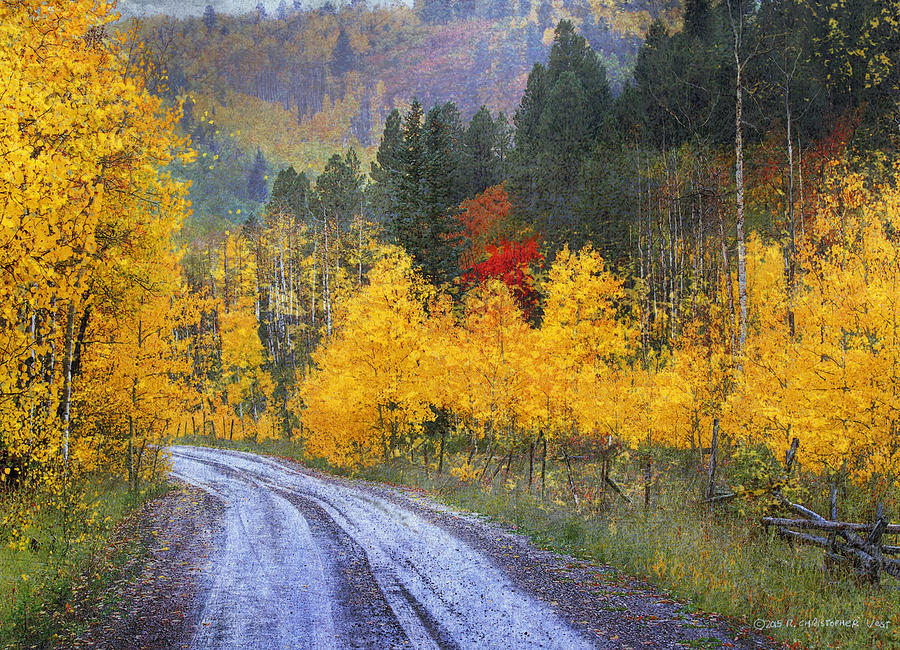 Fall Photograph - Wet Road - Peak Of Autumn by R christopher Vest