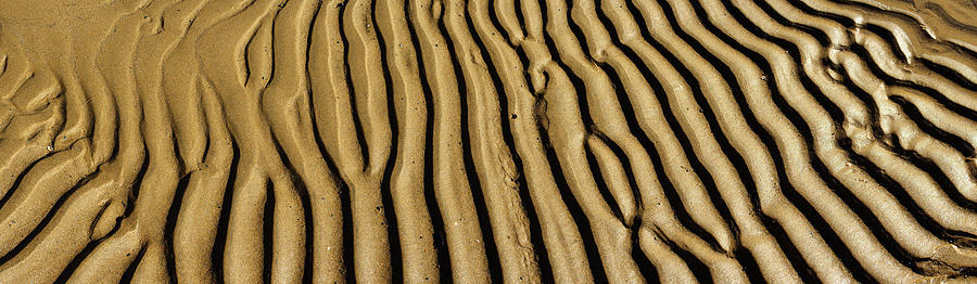 Wet Sand Formation Grooves Panoramic Photo 95 Degrees Photograph