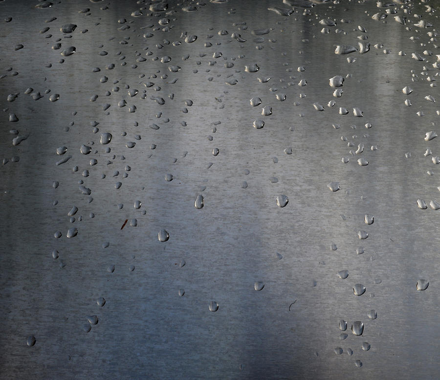 Wet Stainless Steel Photograph by Lyle Crump