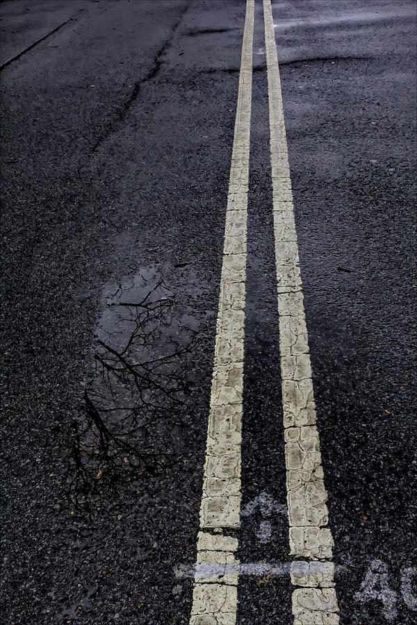 Wet Street Photograph by Robert Ullmann