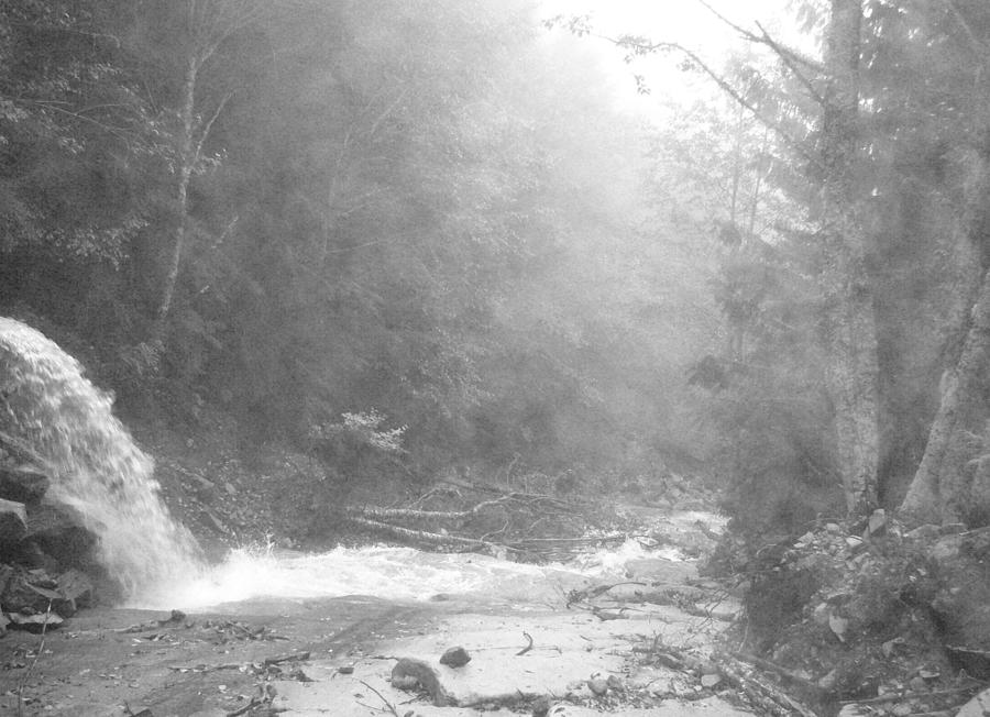 Landscape Photograph - Wet Trail by Mark Camp Landscape Photograph - Wet Trail by Mark Camp