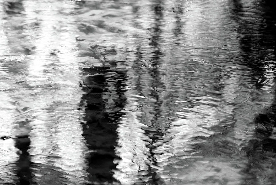 Wetland Abstract 1 BW Photograph by Mary Bedy