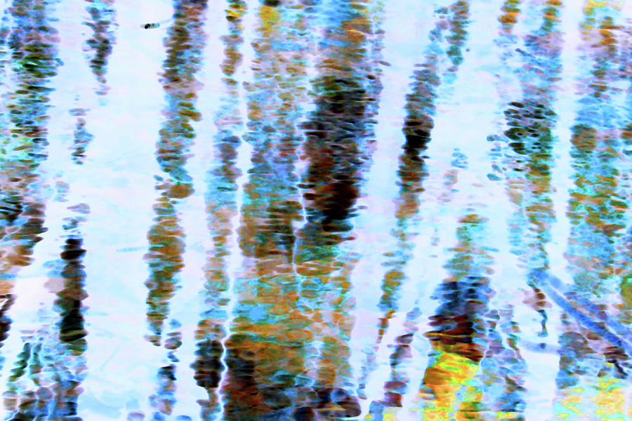 Wetland Abstract 4 Altered Photograph by Mary Bedy