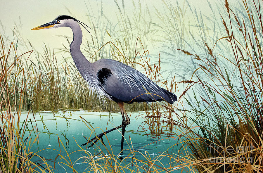 Wetland Beauty Heron Painting by James Williamson