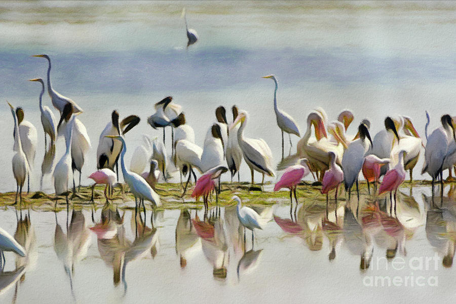 Bird Digital Art - Wetland Friends 1 by Patrick Lynch