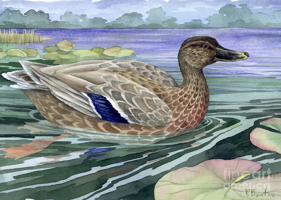 Duck Painting - Wetland Mallard - Female by Paul Brent
