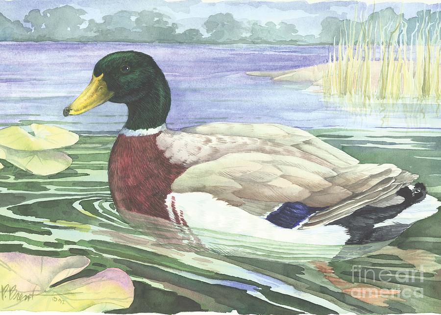 Duck Painting - Wetland Mallard - Male by Paul Brent
